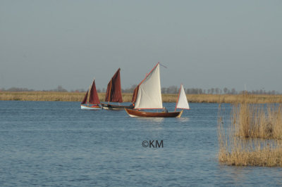 DSC_3235-0410.jpg