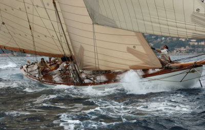 les Voiles des St Tropez 2007