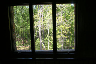 Second floor window view