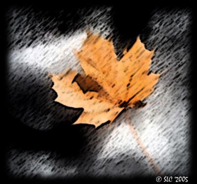 ~Sumi-e Leaf~