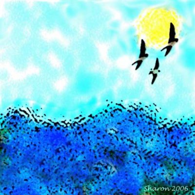 Lesson ThreeOcean, Sky, Sun & Birds
