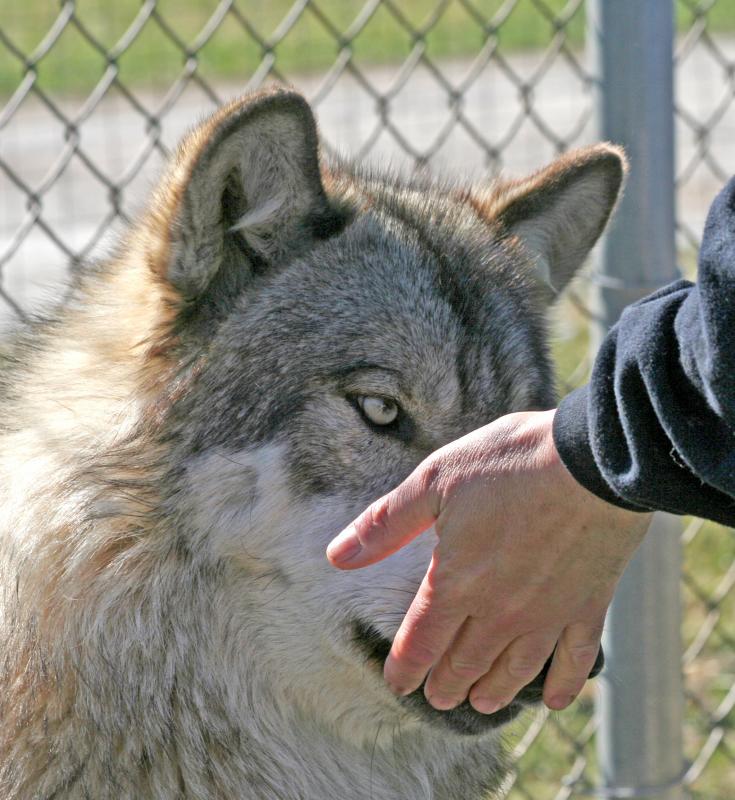 A soft sniff to make friends