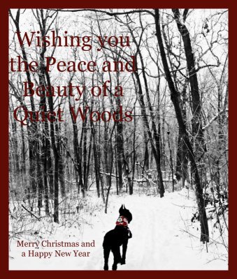 Happy Holidays!