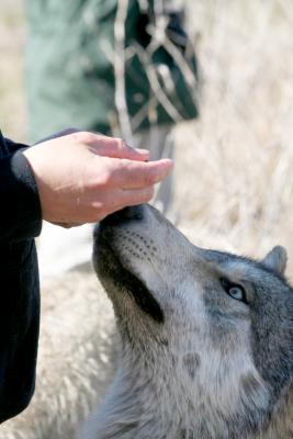 A fellow photographer makes friends