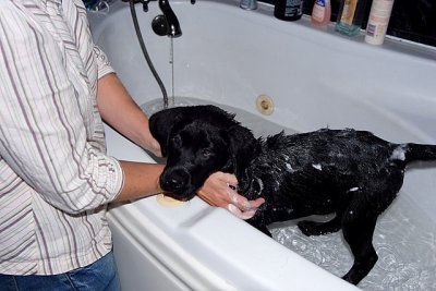 Raffa gets his first bath