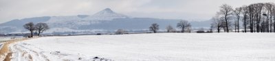 Roseberry Topping