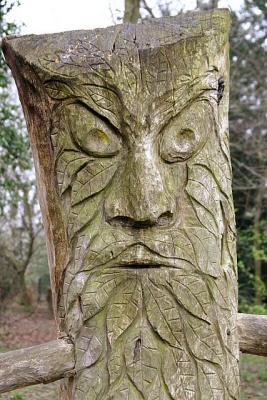 Tree Carving