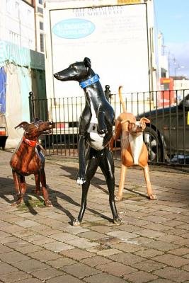 Greyhounds