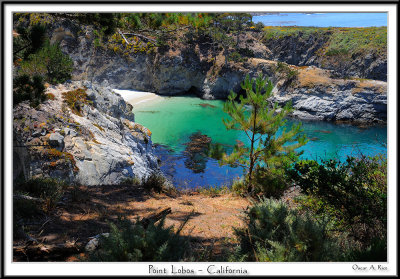 Point Lobos State Park - California.jpg