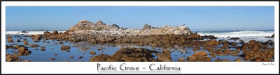 Pacific Grove - California.jpg