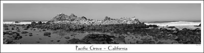 Pacific Grove - California_BW.jpg