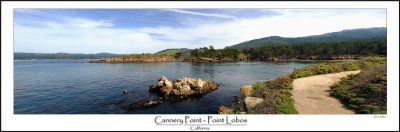 Cannery Point - Point Lobos  California.jpg