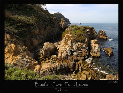 Bluefish Cove - Point Lobos  California.jpg