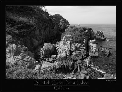 Bluefish Cove -- Point Lobos -  California.jpg