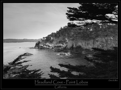 Headland Cove - Point Lobos - California.jpg