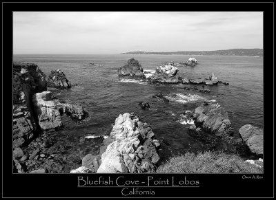 Bluefish Cove -- Point Lobos  -   California.jpg