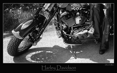 Harley.jpg