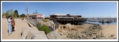 Monterey-California.jpg