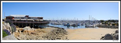Monterey_Pano.jpg