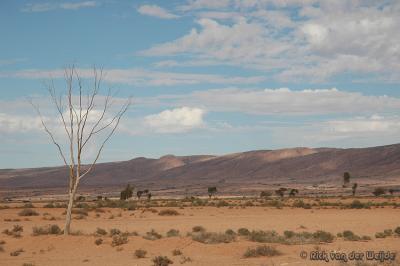 Tan-Tan's Desert