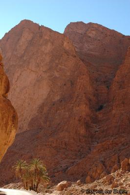 Gorges du Todhra