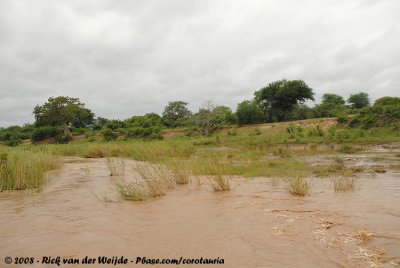 Olifants River