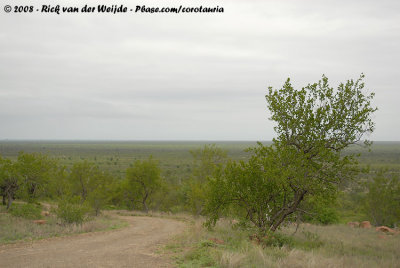 The overview of Kruger