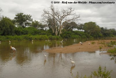 The Bird River