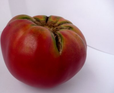 heirloom tomato 2
