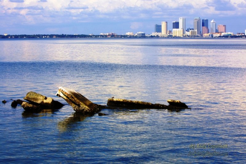 Downtown Tampa from Ballast Point Pier