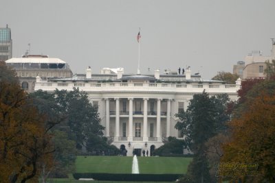 The White House