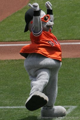 San Francisco Giants mascot Lou Seal