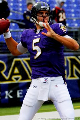 Baltimore Ravens QB Joe Flacco