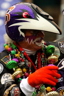 Baltimore Ravens fan