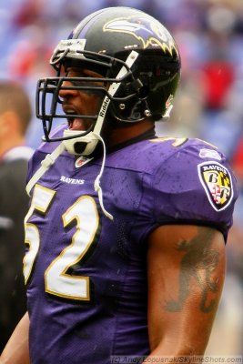 Baltimore Ravens LB Ray Lewis