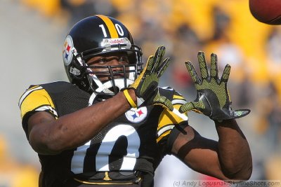Pittsburgh Steelers WR Santonio Holmes