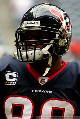 Houston Texans WR Andre Johnson