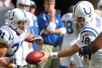 Indianapolis Colts QB Peyton Manning hands off to RB Donald Brown