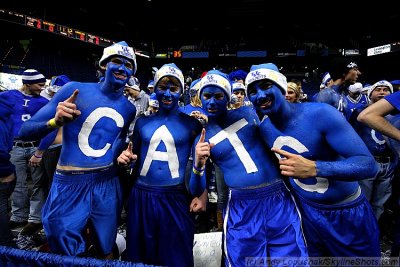 Kentucky Wildcats fans