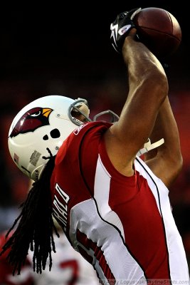 Arizona Cardinals WR Larry Fitzgerald