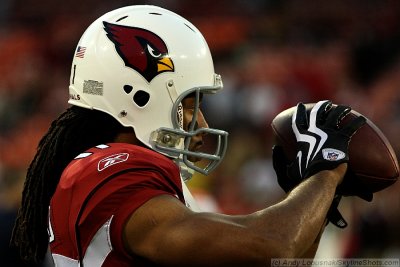 Arizona Cardinals WR Larry Fitzgerald