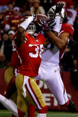 Arizona Cardinals WR Larry Fitzgerald