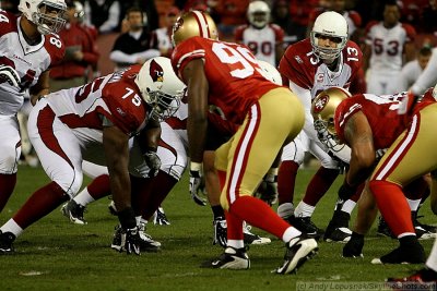 Arizona Cardinals QB Kurt Warner