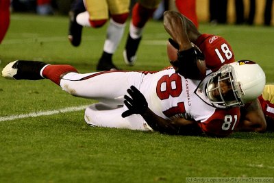 Arizona Cardinals WR Anquan Boldin