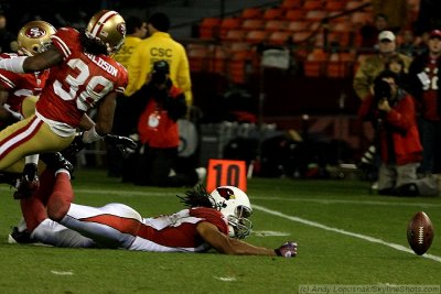 Arizona Cardinals WR Larry Fitzgerald