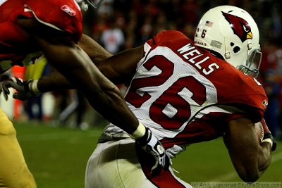 Arizona Cardinals RB Beanie Wells