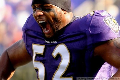 Baltimore Ravens LB Ray Lewis