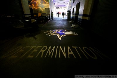 Determination - Play Like A Raven