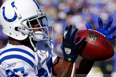 Indianapolis Colts WR Reggie Wayne