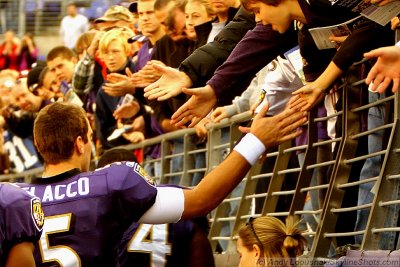 Baltimore Ravens QB Joe Flacco